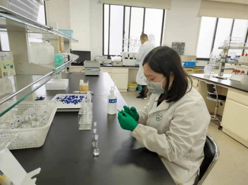 涇三淳區(qū)域分中心以技術(shù)為支撐 數(shù)字文化創(chuàng)意軟件助力疫情春節(jié)食品安全保障